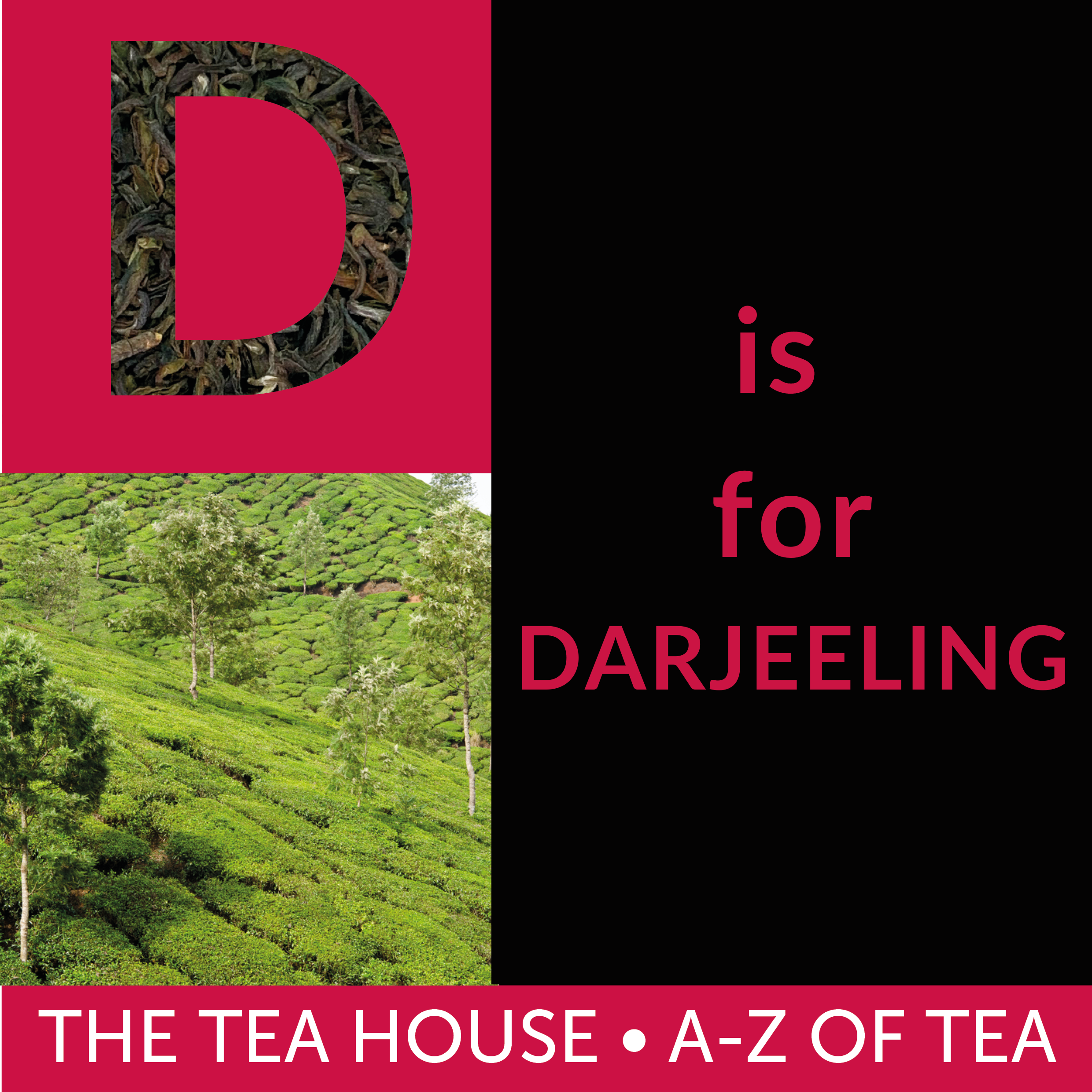 D is for Darjeeling