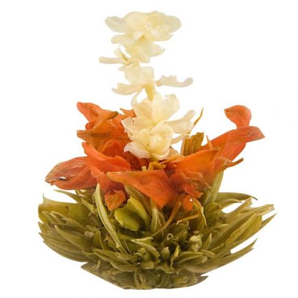 Mango Lily Flowering Tea