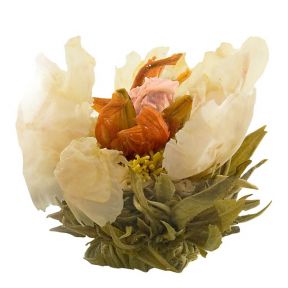 Camellia Vanilla Flowering Tea