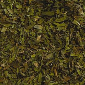 Morocco Mint Premium Herbal Tea Infusion